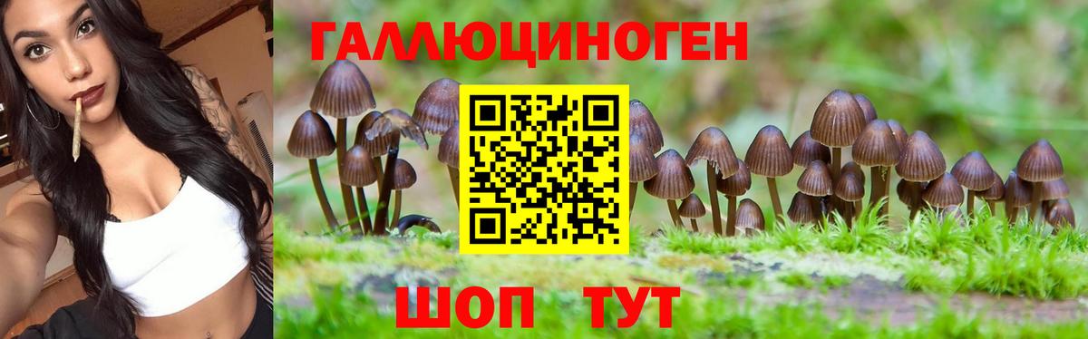 где продают   Вход с VPN  Янаул  Псилоцибиновые грибы прущие грибы 
