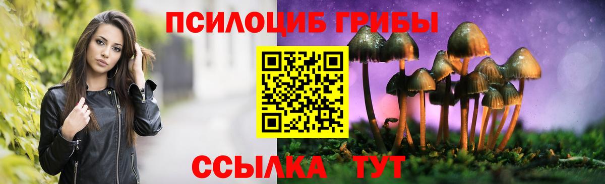Псилоцибиновые грибы MAGIC MUSHROOMS Янаул